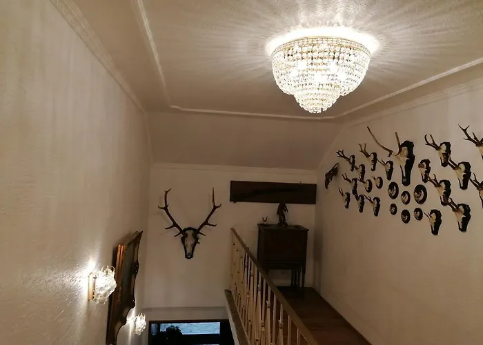 Haus Weitblick 아파트 *